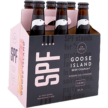Goose Island Drink Have Fun Pint Glass