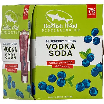 Dogfish Head Blueberry Shrub Vodka Soda