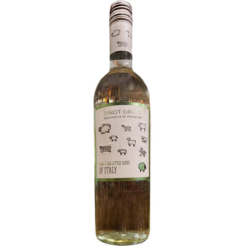 The Little Sheep of Italy Pinot Grigio