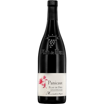 Panicaut Plan de Dieu Rouge